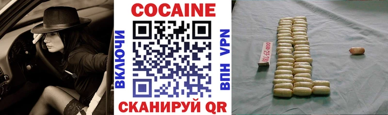 где купить   Новозыбков  mega tor  Cocaine Боливия 
