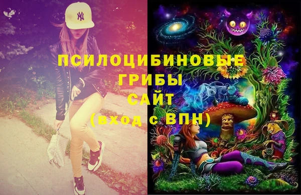 твердый Алексин