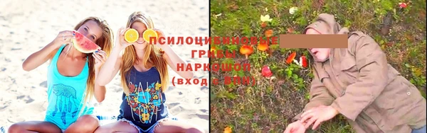 твердый Алексин