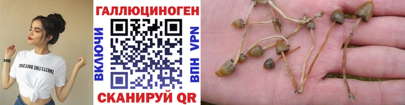 Галлюциногенные грибы прущие грибы  Новозыбков 
